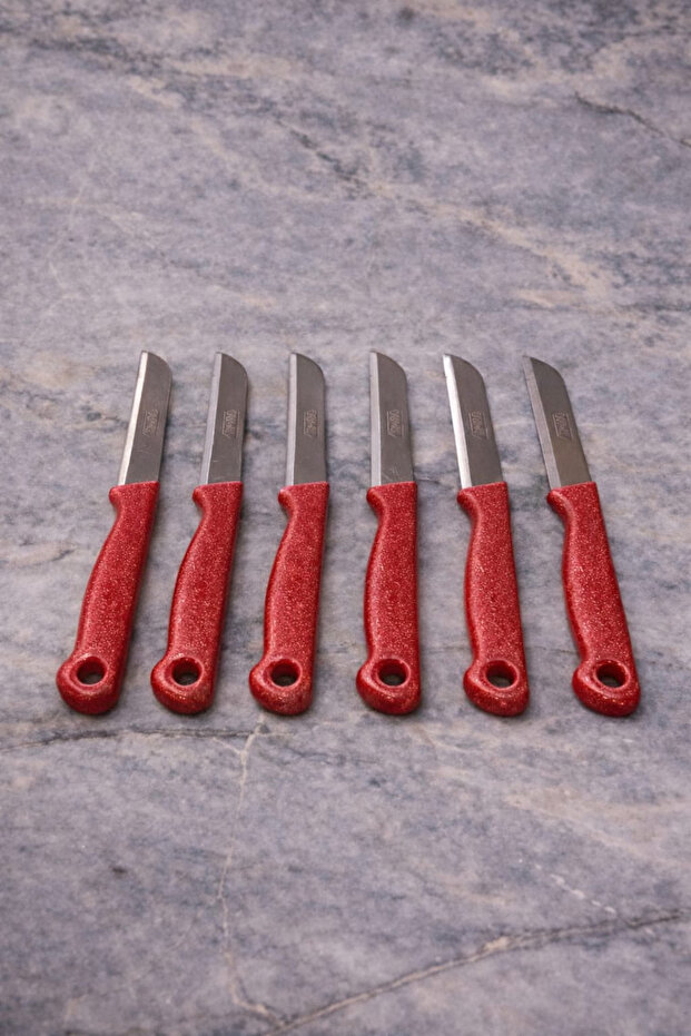 6LI MEYVE BIÇAĞI - 3