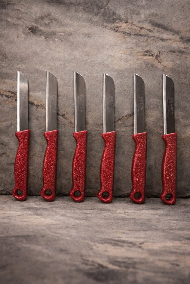 6LI MEYVE BIÇAĞI - 1