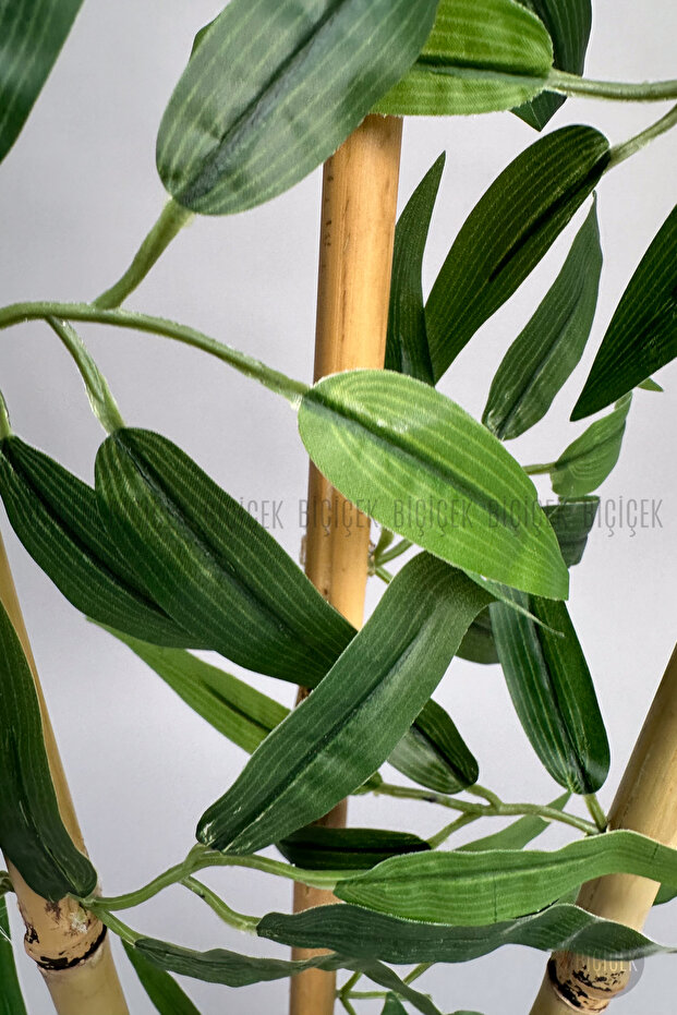 BAMBU AĞACI 110 CM 3 GÖVDELİ - 9