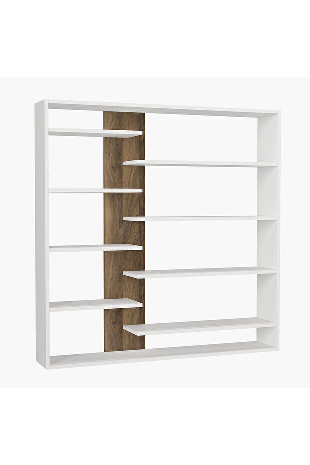 خزانة كتب مودوليكس أيفا - 4