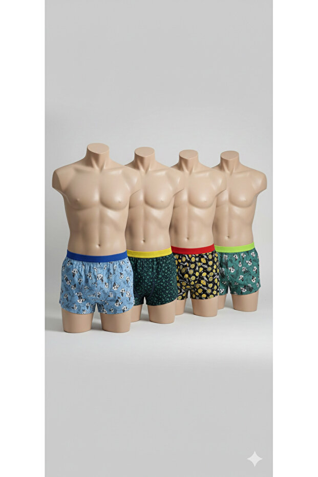 Boxer