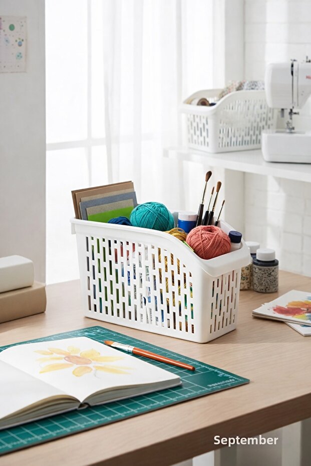 منظم أوردو ميني - 7