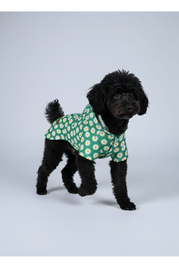 Cat and Dog Outfit & Dress & Raincoat - Blue Daisy Printed Mesh Raincoat