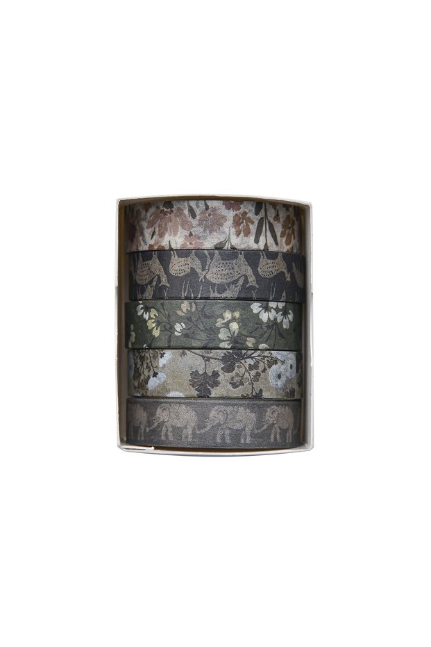 240501-5 5 Rolls/Box Forest Plant Print Washi Tape Handmade Diy Diary Photo Album Decoration Masking