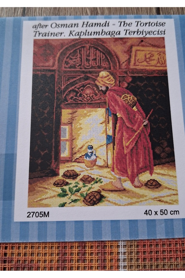 Tapestry Turtle Trainer 40X50 Threaded Set
