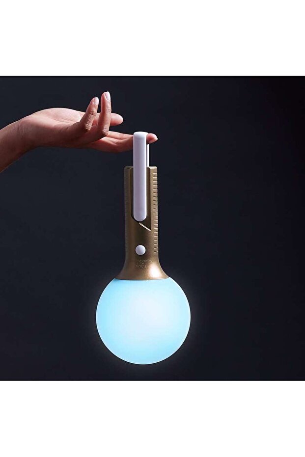 Bolla + Led Lamba Dore LH63D9 - 5