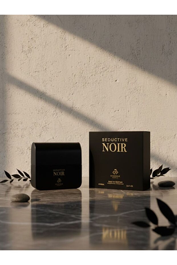 Seductive Noir EDP 100ml Men - 1