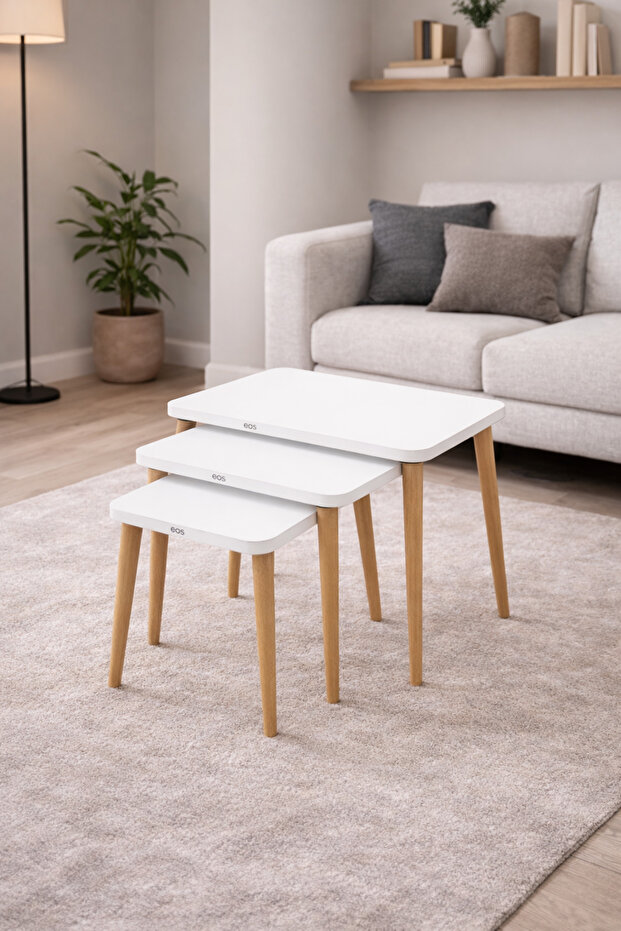 NATUREL 3 LÜ ZİGON SEHPA - 3