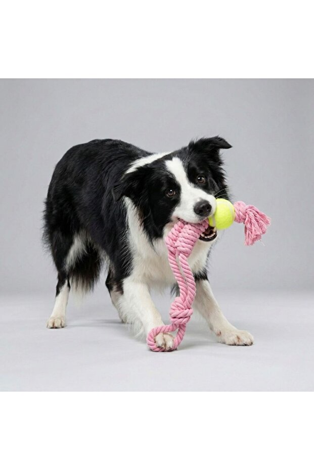 Tennis Ball Dog Tug Toy with Rope Handle