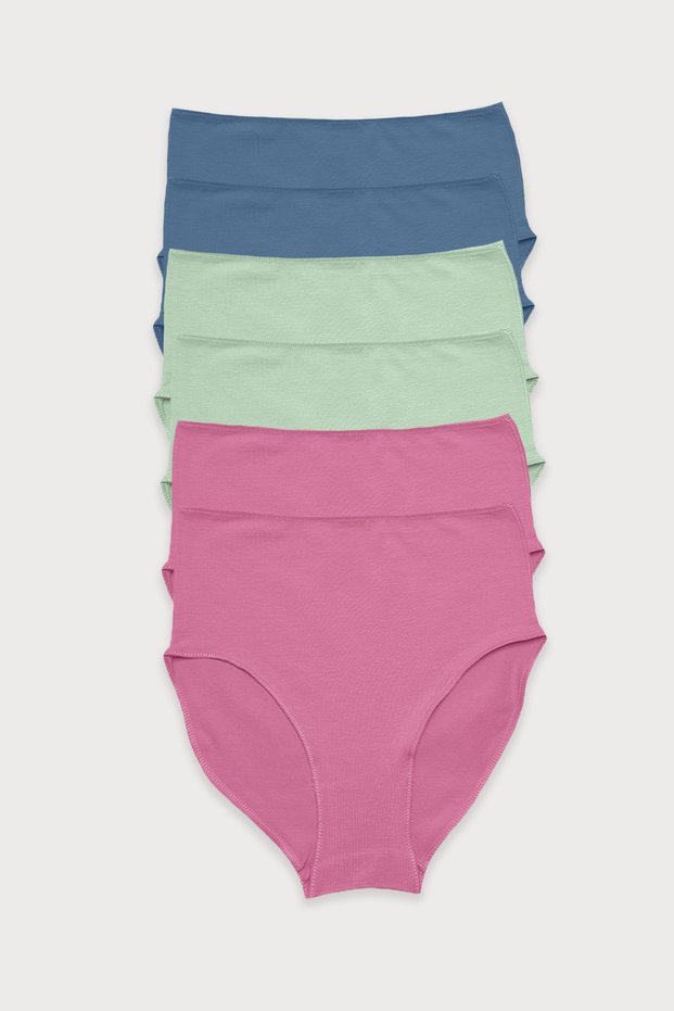 Women's Blue Green Dried Rose 6-Pack Modal High Waist Slip Panties 1955