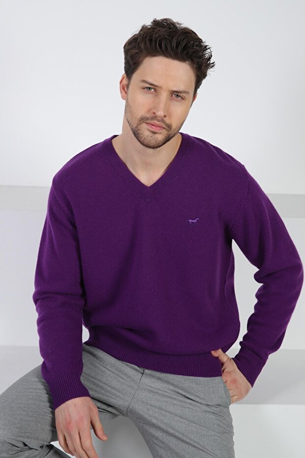 Radar V-Neck Men's Long Sleeve 100% Lamb Wool Knitwear Sweater