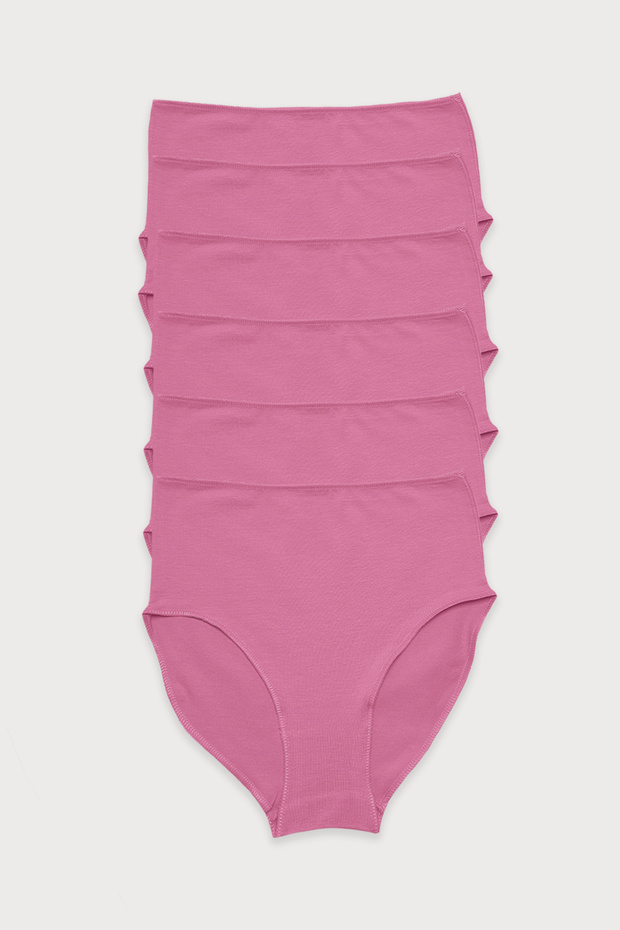 Women's Dusty Rose 6-Pack Modal High Waist Slip Panties 1955