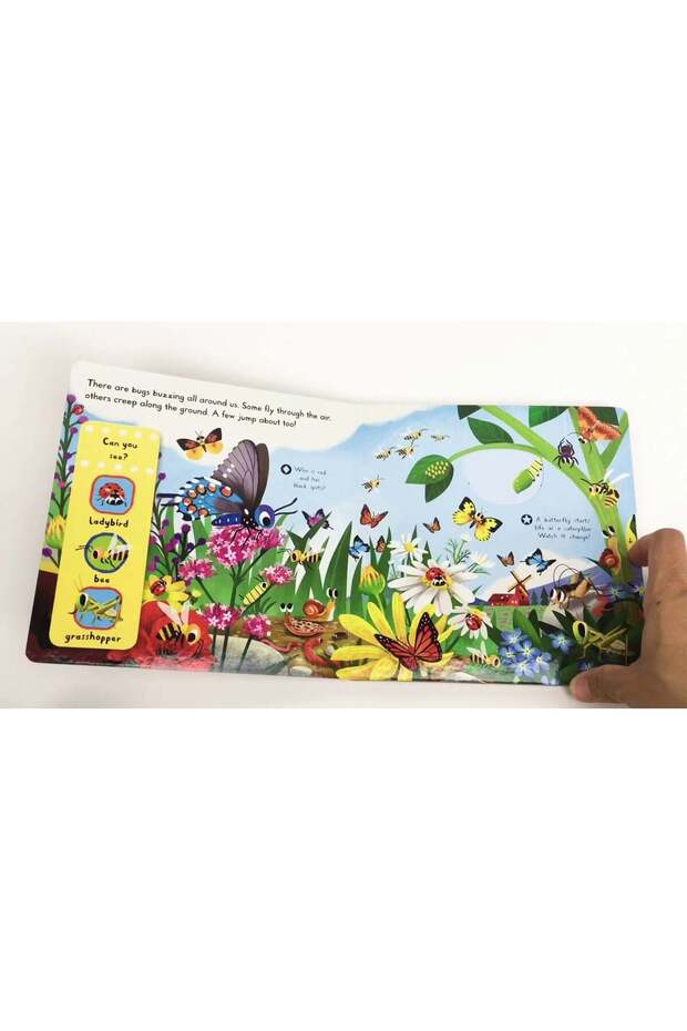 First explorers Brilliant Bugs - 2