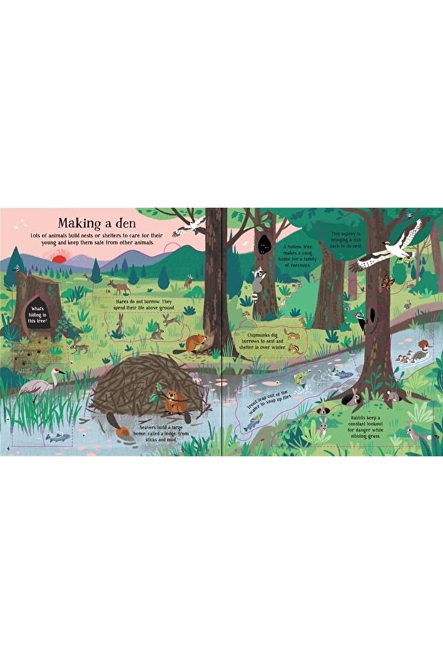 Look Inside Nature - 3