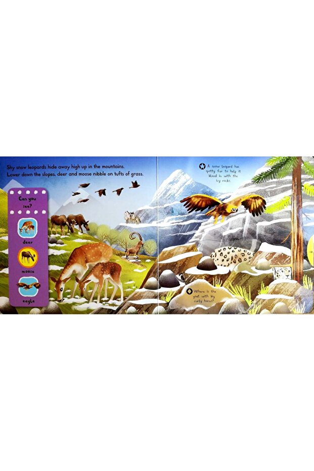 First explorers Snowy Animals - 2