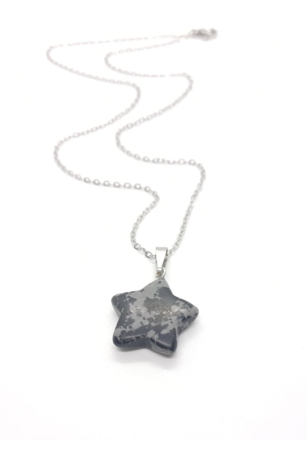 Picasso Jasper Natural Stone Star Shaped Steel Chain Necklace Strength, Courage, Love, Faith