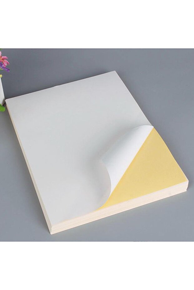Derya Eagle 105X70Mm Laser/Lazer A4 Self-Adhesive Label Note Noki