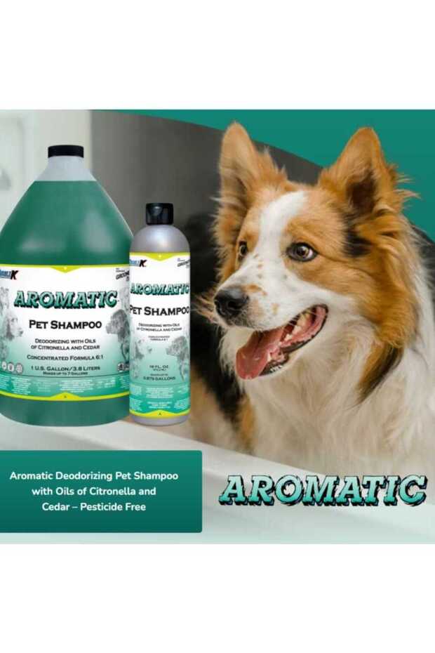 AROMATIC® | 473ML - - 3