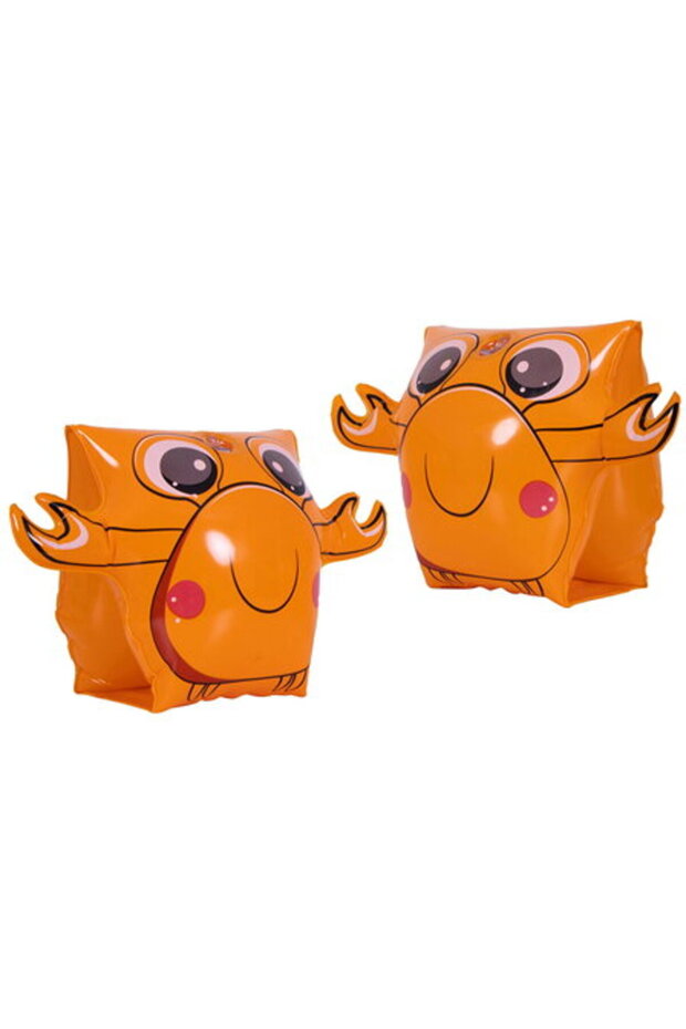 INFLATABLE WINGS - 1