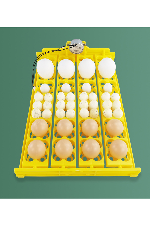 DC12V 24 Eggs Incubator 12V 110V 220V Egg Tray Eggs Turning Automatic Egg Hatching Incubator for Qua