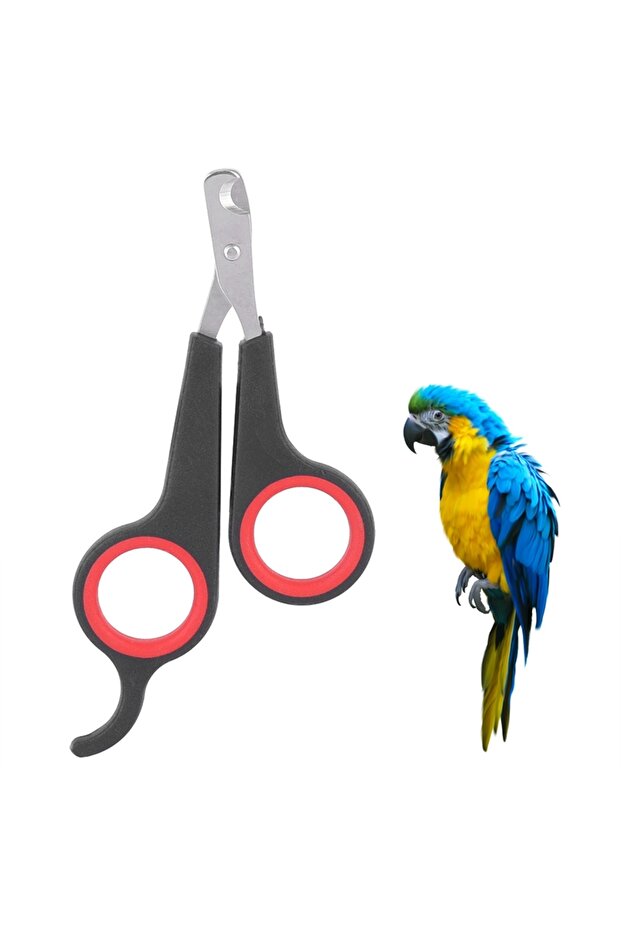 2112190015811 Bird Nail Clipper Parrot Nail Scissors Pet Bird Parrot Small Animals Accessory Groomin