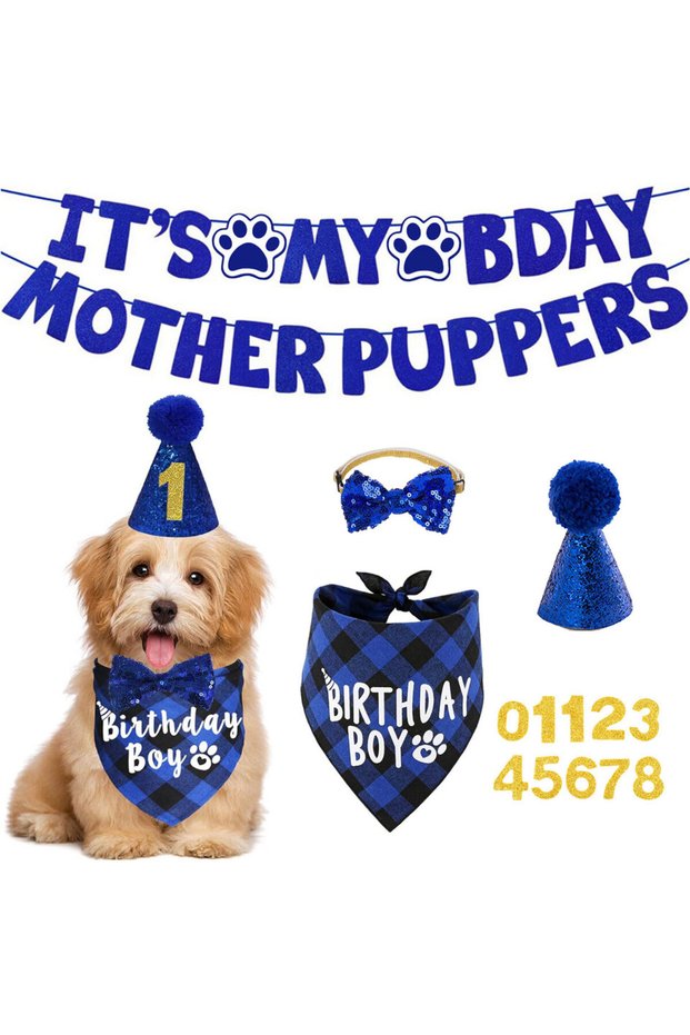 blue Dog Birthday Party Kit - Bandana, Hat, Bow Tie & Bday Banner for Small Dogs, Puppy Decor with I