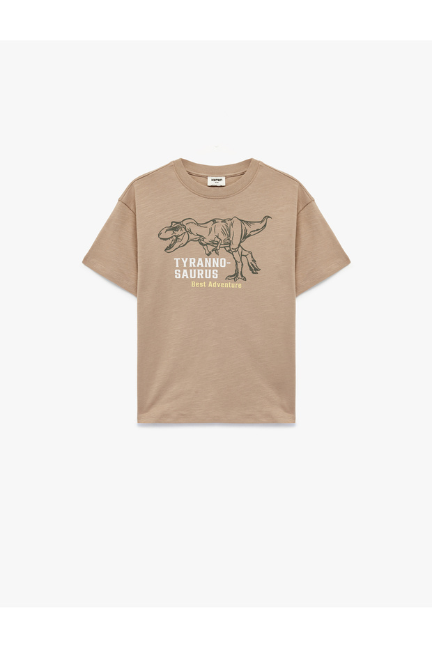 Boy'S Brown Boy'S Tshirt Ss