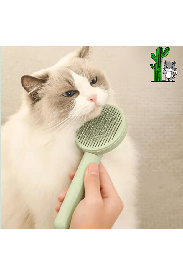 Pensula de cactus - 1