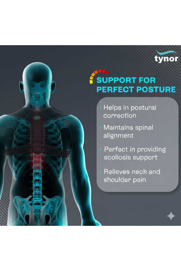 Posture Corrector A 33/ Large Size - 2