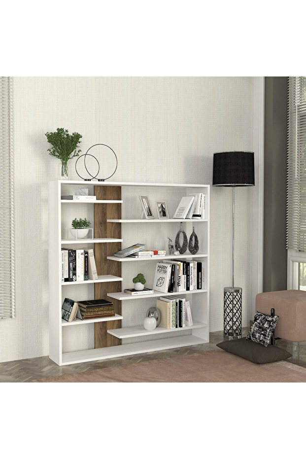 خزانة كتب مودوليكس أيفا - 2