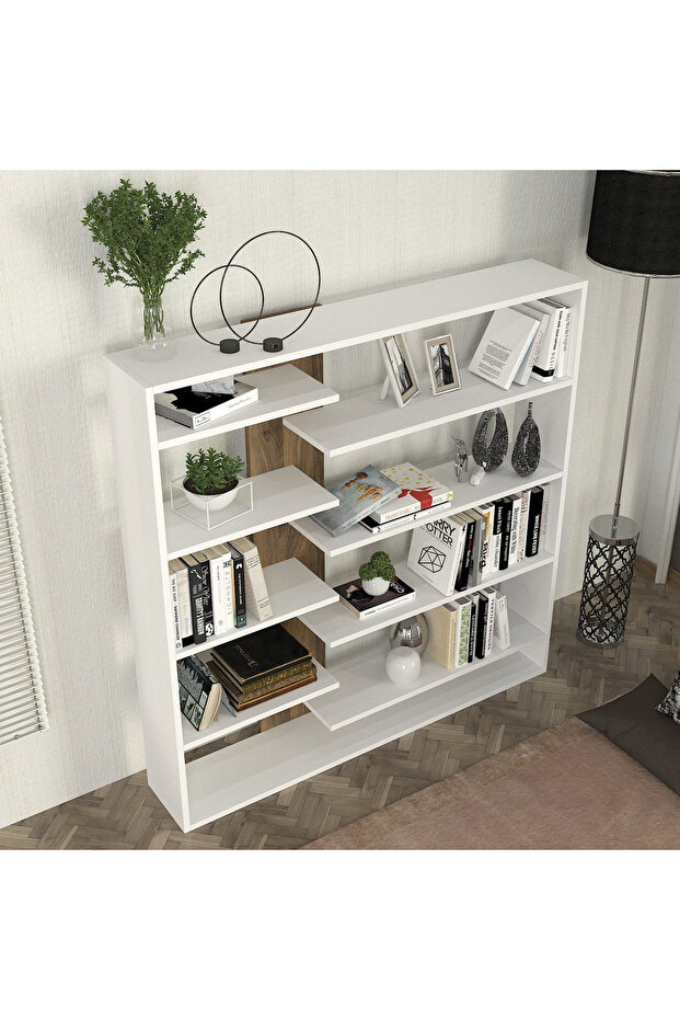 خزانة كتب مودوليكس أيفا - 3