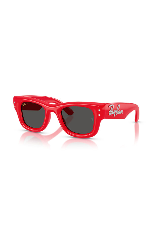 0Rb4940B 686187 47 Unisex Sunglasses