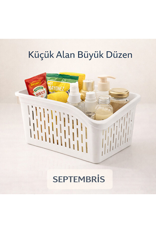 منظم أوردو ميني - 6