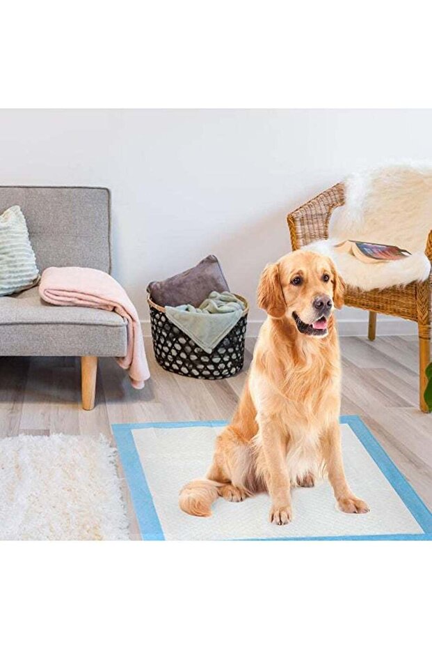 Disposable Absorbent Quick Drying Leak-Proof Pee Pads For Potty Training For Pets,60X60Cm L 40 PCS
