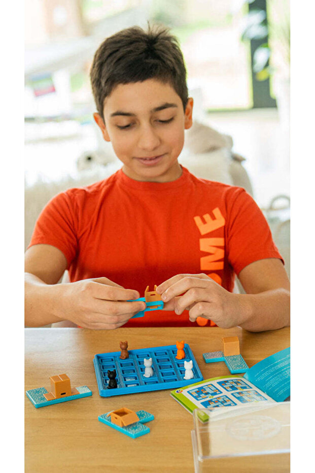 القطط والصناديق - لعبة ألغاز متسلسلة - 3