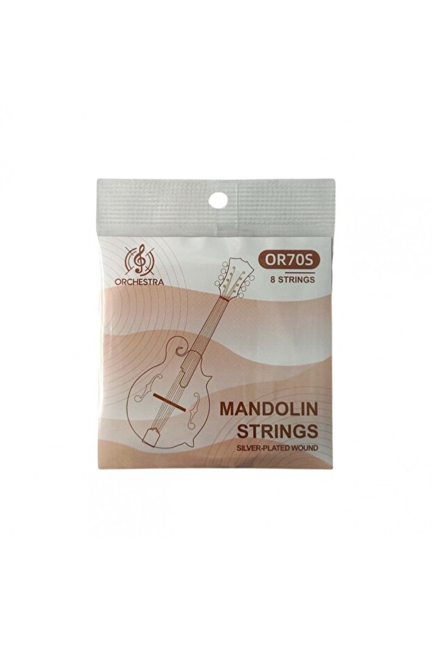 Mandolin string set - 1