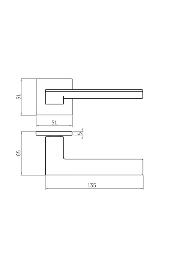 ELECTRA Interior Door Handle with Lock Rosettes - 2