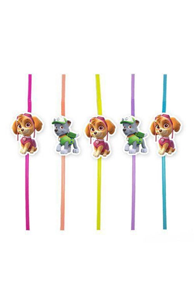 Paw Patrol Skye & Rocky Theatrical Straws, 10 Pieces