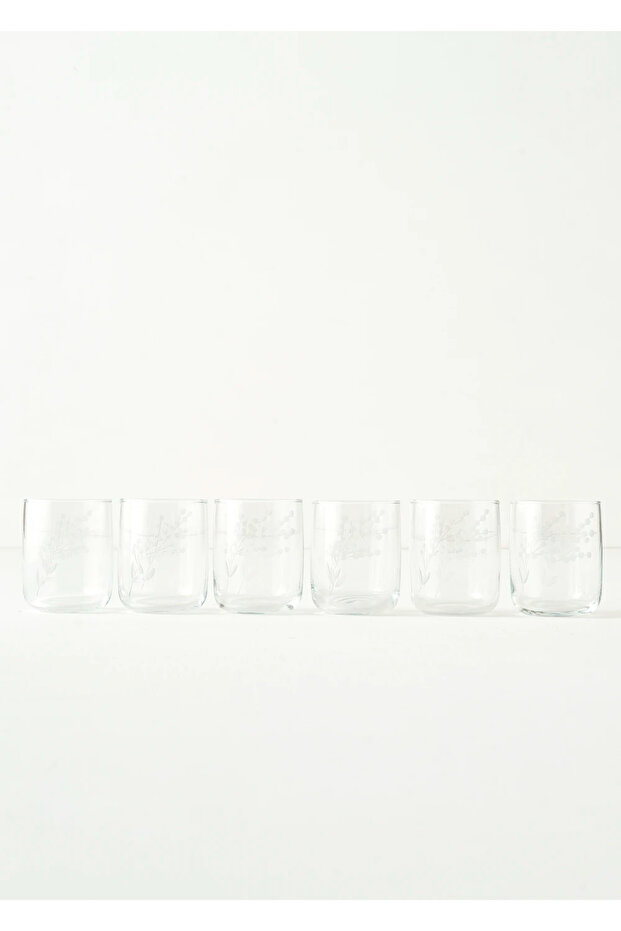 Exclusive Selection Set of 6 Glasses Natural (280 Cc)