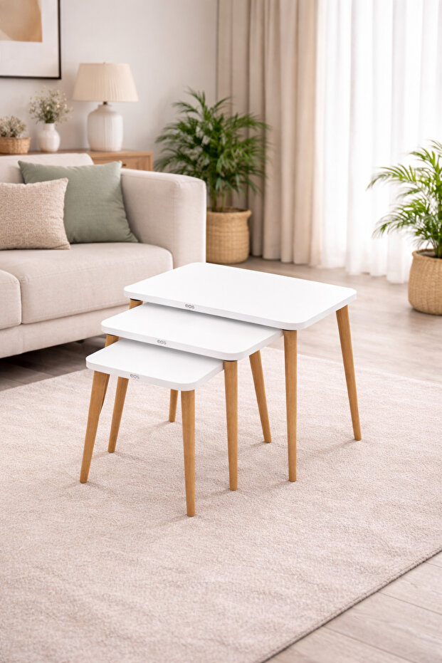 NATUREL 3 LÜ ZİGON SEHPA - 4