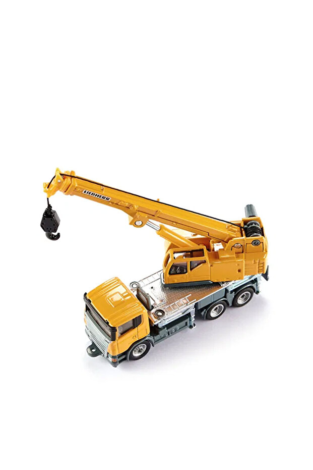 Teleskopik Vinç - 3