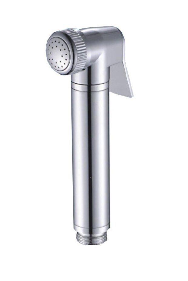 Chrome shower head, - 1