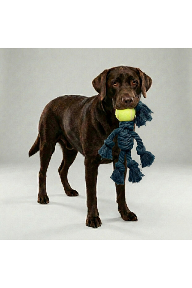 Tennis Ball Four-Handed Pull-Along Dog Toy