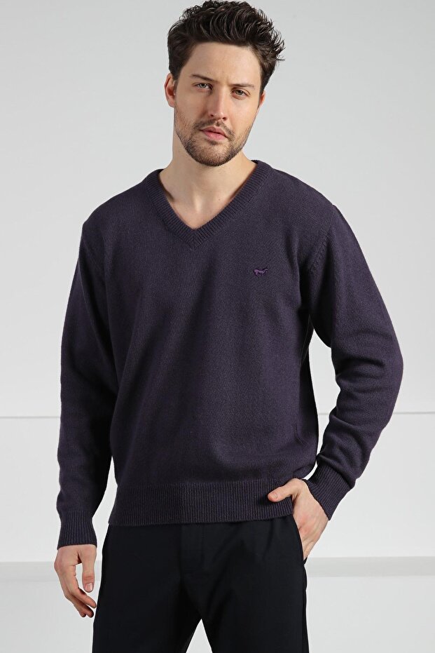 Eggplant V-Neck Men's Long Sleeve 100% Lamb Wool Knitwear Sweater