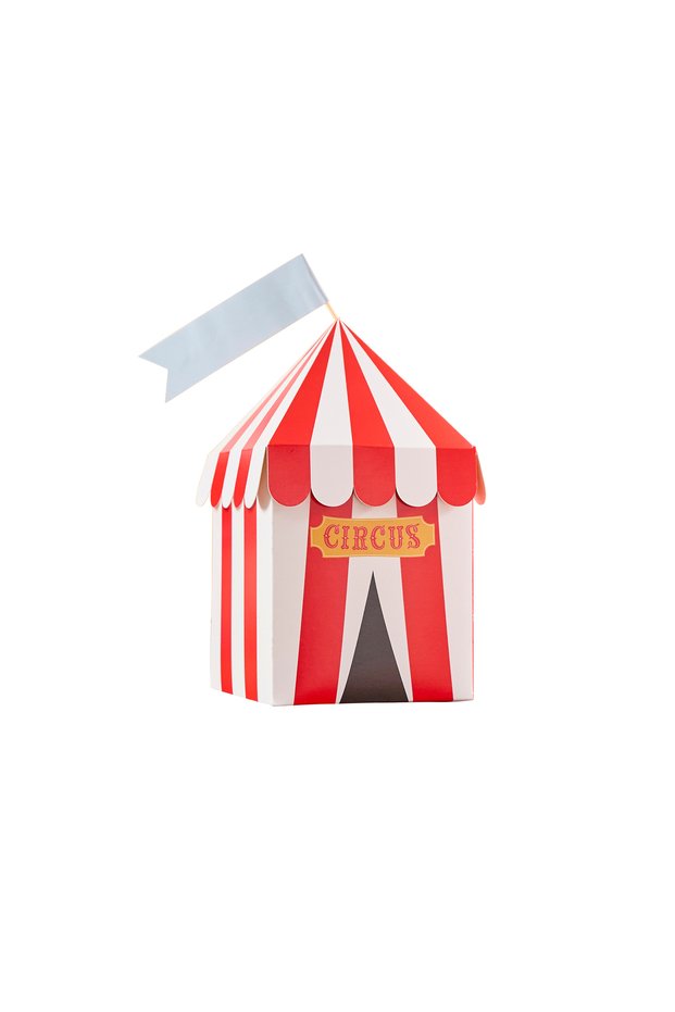 Circus Customisable Party Boxes 4Ct