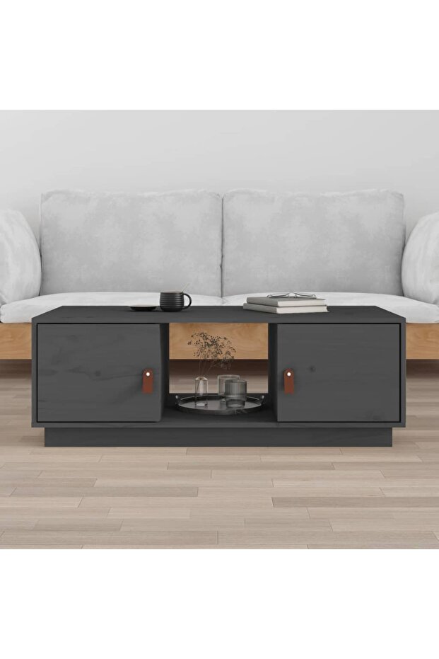 Coffee table, gray, 100x50x35 cm, solid pine wood - 1