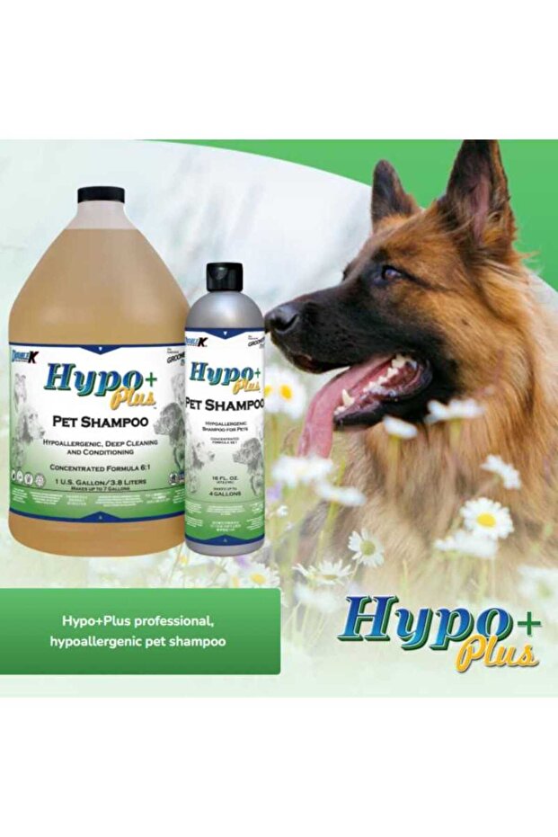 HYPO PLUS® |3,8L - - 3