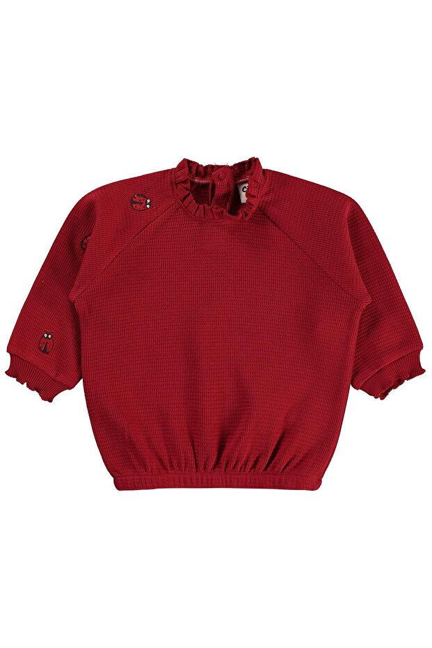 Ladybug Embroidered Sweatshirt for 6-18 Months - Red 9-12 Months