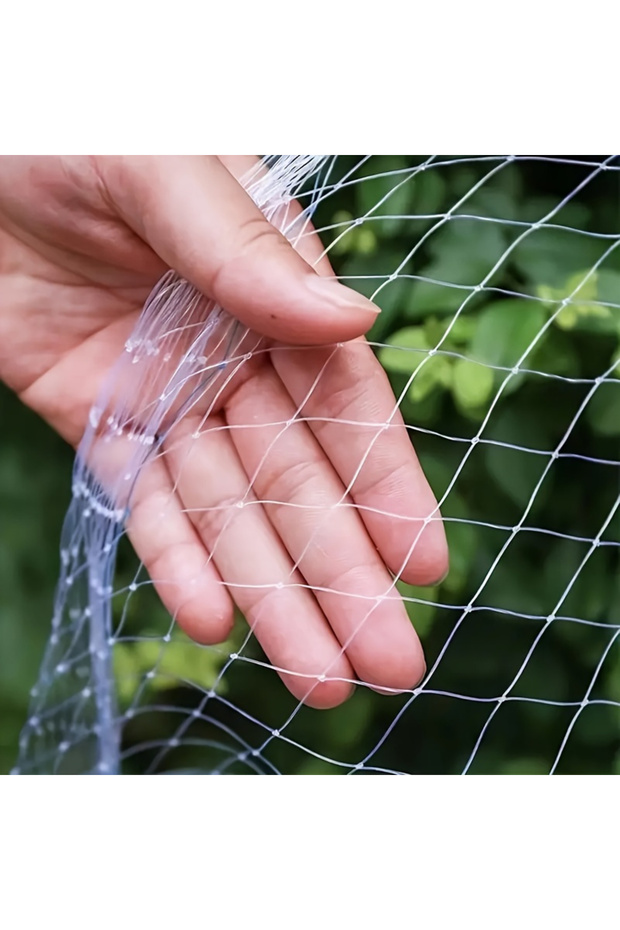 2Mx5M 1 Piece Transparent Anti-Bird Netting, Suitable for Grapes, Greenhouse, Fish Pond and Orchard-