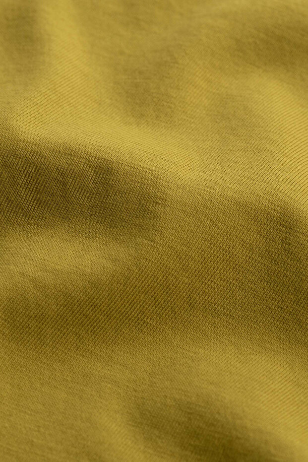 Kadın Flat Cut Crop Basic T-Shirt - Moss - 5